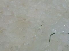 -联邦酒楼