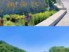 -马家湾湿地公园