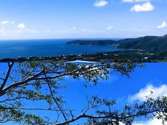 -三亚亚龙湾人间天堂鸟巢度假村