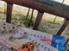 -杭州双溪漂流景区