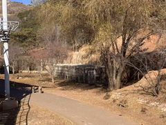 -大青山野生动物园