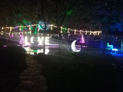 -枫花园汽车电影院(朝阳公园店)