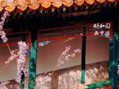 -颐和园