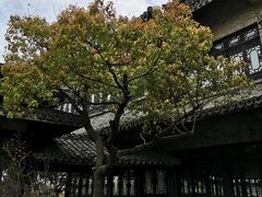 -韩湘水博园