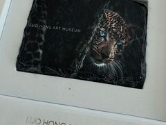 -罗红摄影艺术馆