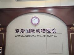 -宠爱国际动物医院· 猫科· 外科·中兽医(长白店)