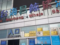 -烟台海昌鲸鲨海洋公园