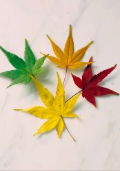 -尚圣月子会所·庄园式月子中心(萧山湘湖店)