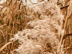 -处女泉风景名胜区