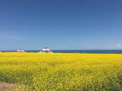 -青海湖国家重点风景名胜区