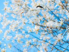 -溪口-滕头旅游景区