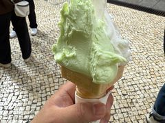 -柠檬车露(卖草地店)