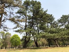 -承德避暑山庄景区