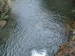 -湖洞水自然风景区