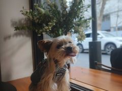 -Joymean coffee.见面咖啡