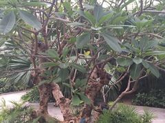 -龙达温泉生态城