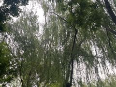 -丰台科技园生态主题公园