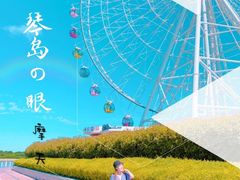 -琴岛之星摩天轮