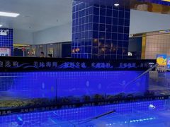 -星海汇海鲜烤肉火锅自助(二七广场百年德化店)