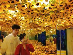 -成都梵高星空艺术馆(春熙路旗舰店)