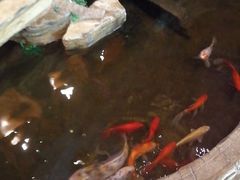 -鸥迪足道(湖南示范店)