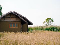 -良渚古城遗址公园