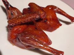 脆皮妙龄鸽-新荣记(新源南路店)