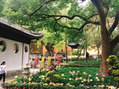 -无锡惠山寺