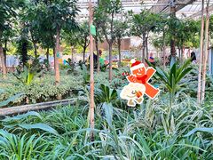 -南宫五洲植物乐园