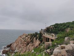 -广东惠东海龟国家级自然保护区