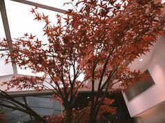 景观位-艾薯夫妇Aysh(福田星河COCOPark店)