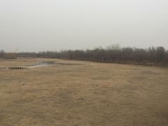 -北京麋鹿生态实验中心