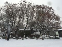 -文瀛公园