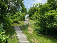 -莫子山公园