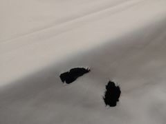 -新名仕新白玉兰餐厅