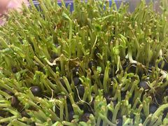 -食锦记·福建私房菜(万宝广场店)