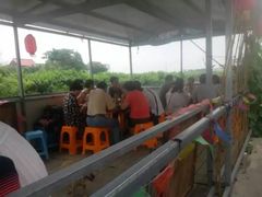 -南汇水蜜桃采摘(大团店)