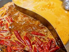 -朱光玉火锅馆(正弘城店)