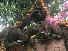 -西双版纳傣族园