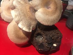 -谭鸭血老火锅(漳州路店)