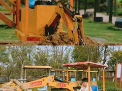 -杭州湾海上花田景区