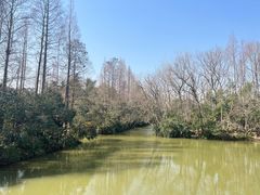 -上海滨江森林公园