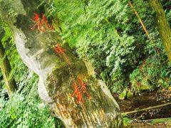 -西湖风景区十里琅珰-五云山