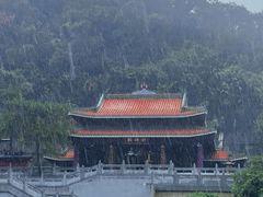 -南海湾森林生态园