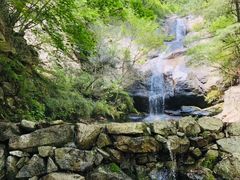 -王顺山国家森林公园