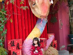 -溪岸路花鸟市场