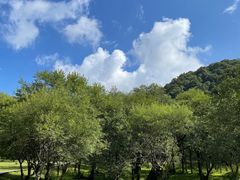-大水川景区