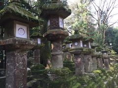 -奈良公园