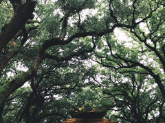 -法雨寺餐厅