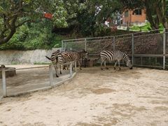 -泉州海丝野生动物世界